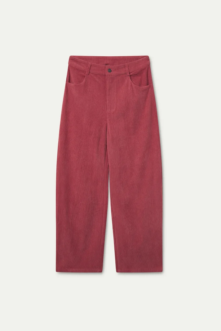 PANTALONI ROSA IN VELLUTO A COSTE
