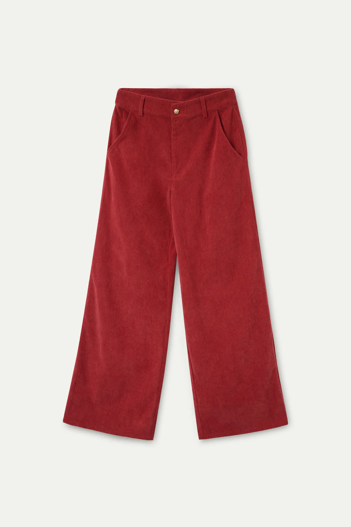 PANTALONI MARRONI IN VELLUTO