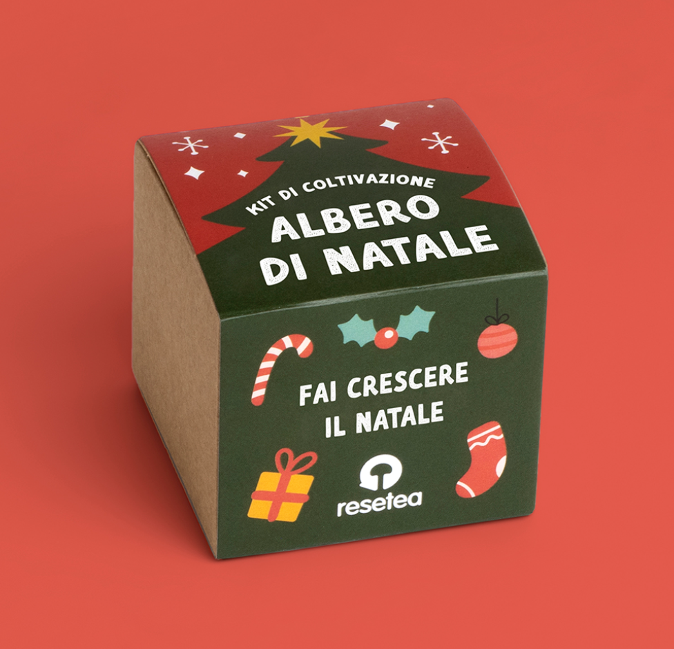 KIT COLTIVAZIONE ALBERO DI NATALE