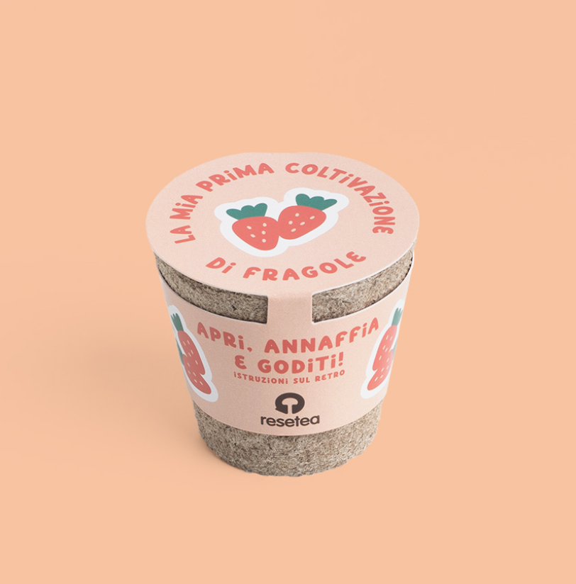 LE MIE PRIME COLTIVAZIONI: FRAGOLE