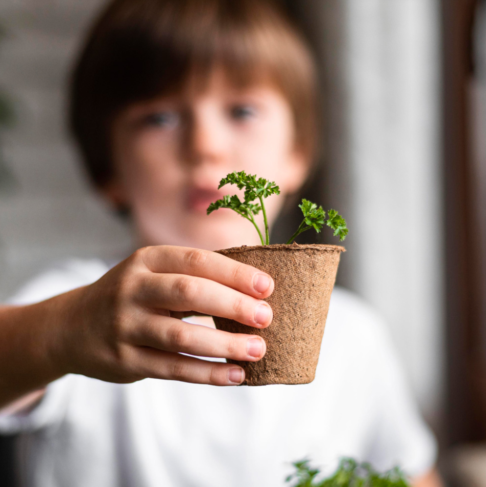 LE MIE PRIME COLTIVAZIONI: FRAGOLE