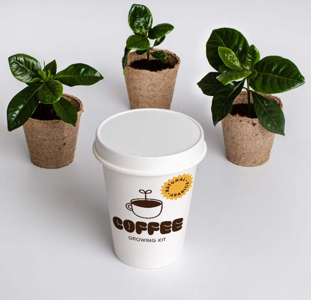 KIT AUTOCOLTIVAZIONE CAFFE'