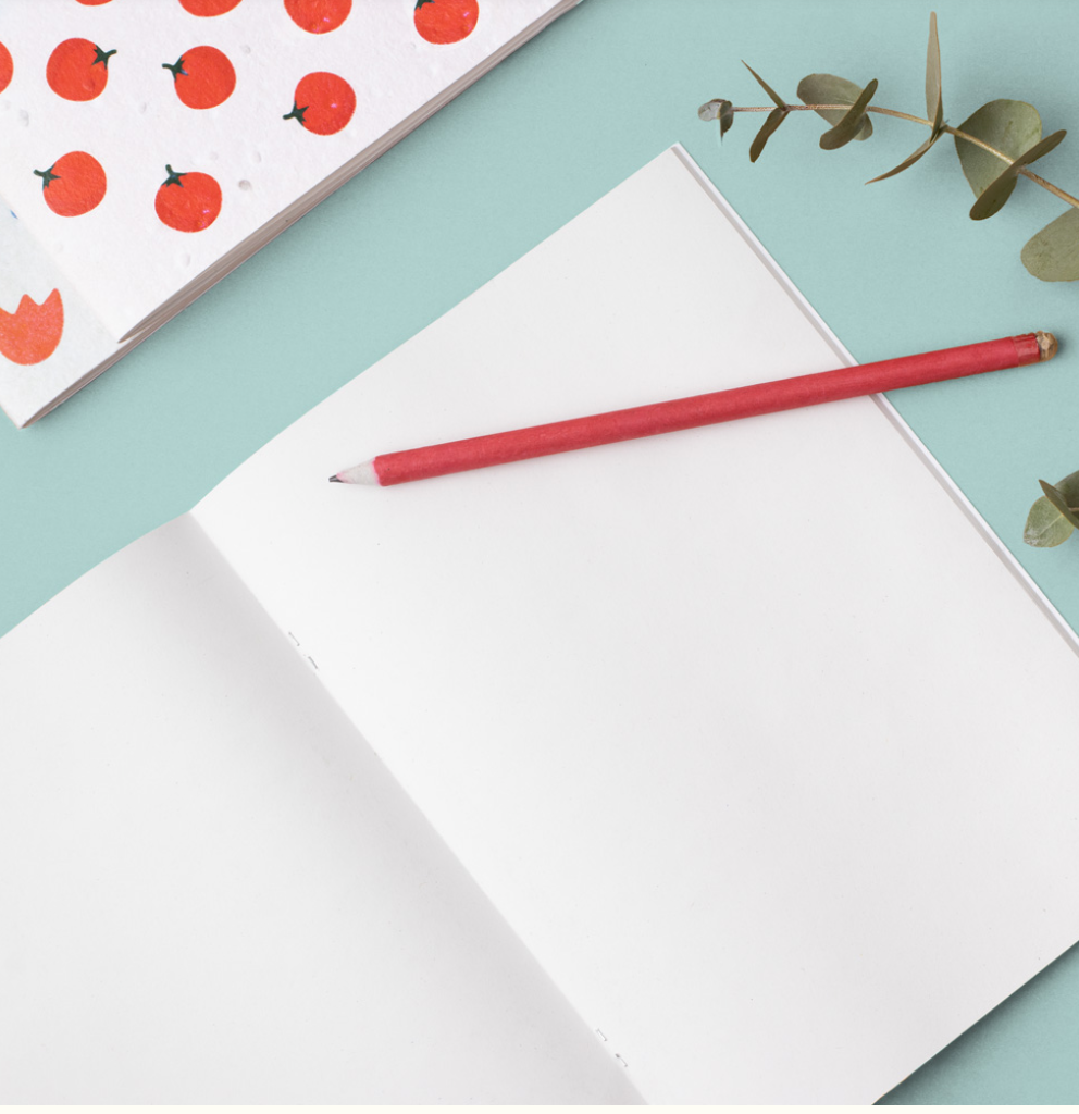 QUADERNINO PIANTABILE